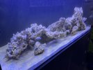 IMG_7156.jpeg