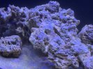 IMG_7158.jpeg