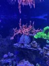 IMG_7646.jpeg