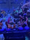IMG_7647.jpeg