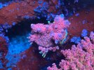 IMG_4409.jpeg