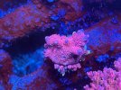IMG_3132.jpeg