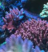 IMG_7190.jpeg