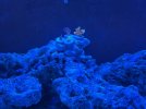 IMG_7208.jpeg