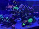 IMG_7669.jpeg