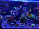 IMG_7668.jpeg