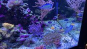 IMG_6924.jpeg
