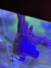 IMG_6897.jpeg