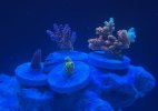 IMG_7256.jpeg