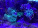 IMG_5227.jpeg