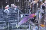 IMG_7813.jpeg