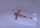 IMG_7801.jpeg