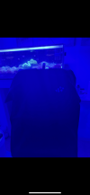 IMG_5370.png