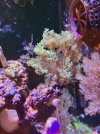 IMG_0578.jpg