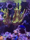 IMG_0580.jpg