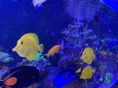 IMG_3928.jpeg
