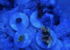 IMG_0246.jpeg