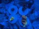 IMG_0243.jpeg