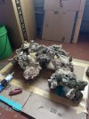 IMG_6962.jpeg