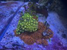 IMG_0714.jpeg