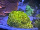 IMG_0713.jpeg