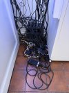 IMG_7491.jpeg