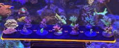 IMG_8356.jpeg
