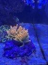 IMG_2347.jpeg