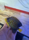 IMG_2358.jpeg