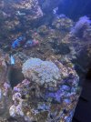 IMG_7062.jpeg