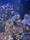 IMG_7063.jpeg