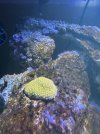 IMG_7064.jpeg
