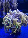 IMG_0343.jpeg