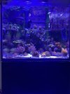 IMG_6187.jpeg