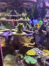IMG_6188.jpeg