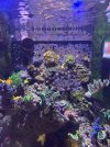 IMG_6190.jpeg