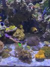 IMG_6191.jpeg