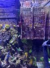 IMG_6192.jpeg