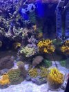 IMG_6193.jpeg