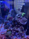 IMG_7868.jpeg