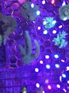 20250602_202122.jpg
