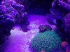 IMG_20170515_150308.jpg