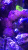 IMG_2357.PNG IMG_2357.PNG
