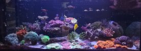IMG_4006.jpeg