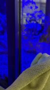 IMG_8798.jpeg