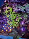 IMG_1293.jpeg