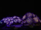 IMG_1842.jpeg