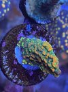IMG_5829.jpeg