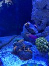 IMG_0216.jpeg
