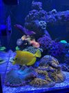 IMG_7298.jpeg